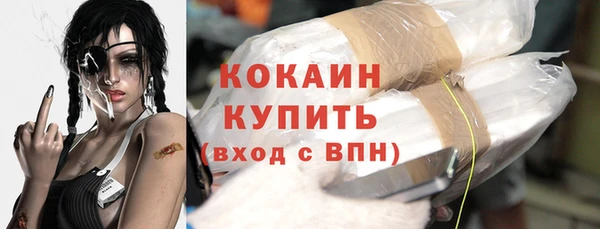 крисы Богородск