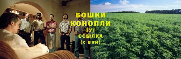 соль ск Богданович