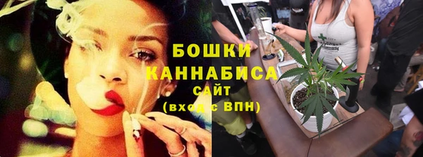 крисы Богородск