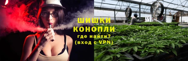 соль ск Богданович